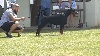  - CLASSE OUVERTE 1ERE EXC - CEC EPONE REGIONALE LE 10/07/16