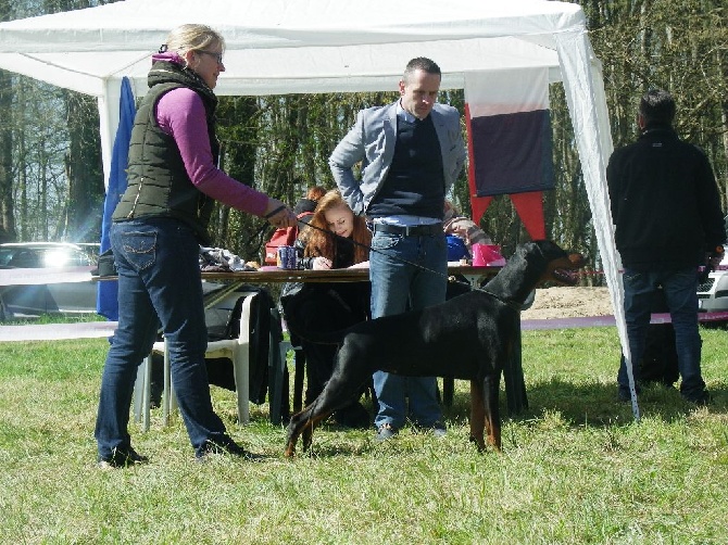 Des Larmes De Feu - CLASSE INTERMEDIAIRE:1ere EXC / CACC - R.E. - CENTRE AUVERGNE LIMOUSIN